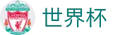 世界杯下注平台-世界杯投注网
